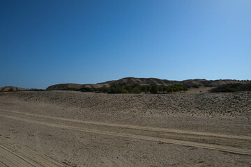 Schotterpiste auf der Insel Sir Bani Yas