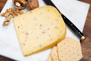 Piece of Dutch Gouda cheese made from cow milk with added walnuts close up
