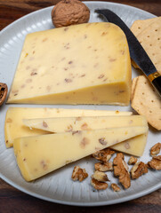 Piece of Dutch Gouda cheese made from cow milk with added walnuts close up