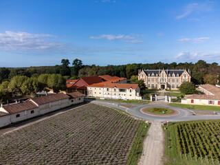 Aerial view, left bank Gironde Estuary, green vineyards, red Cabernet Sauvignon grape variety of...