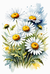 Fototapeta premium bouquet of camomiles, wild leaves illustration, waterclor, splash, coloful, vivid, leafs