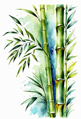 bamboo illustration, waterclor, splash, coloful, vivid, leafs