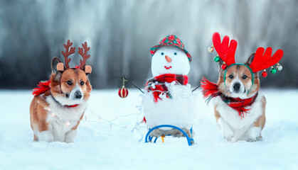 Christmas card with two corgi dogs in warm scarves and reindeer antlers walking with a snowman in a winter snowy New Year's garden