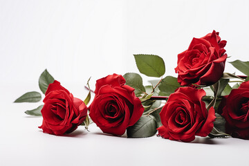 Saint Valentin, Amour floral:  Roses Rouges et Élégance sur Fond Blanc