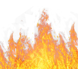 realistic fire flame effect on transparent background