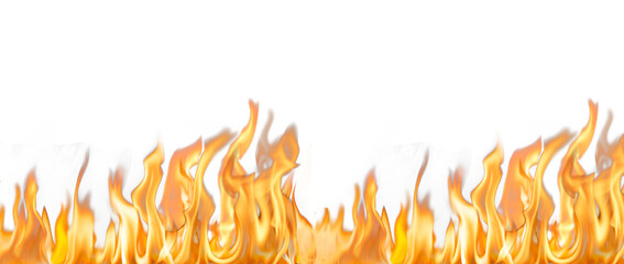 realistic fire flame effect on transparent background - obrazy, fototapety, plakaty