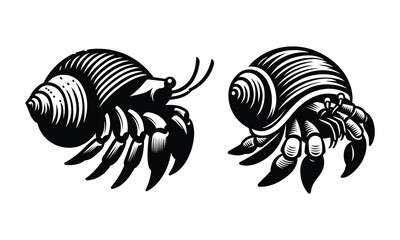 Hermit crab vector