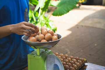 stack of chicken eggs being weight by merchant
