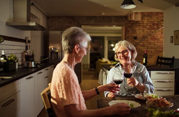 Senior lesbian couple is having dinner at home
