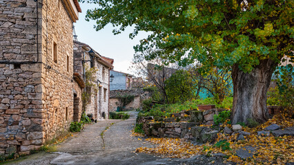 Picturesque street with stone houses and trees with fallen leaves on the ground, Palazuelos, Castilla La Mancha.