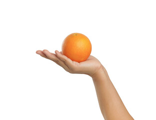 Hand holding fruit, orange, on white background.