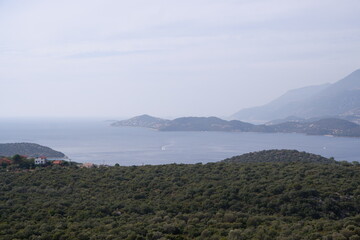 Fototapeta premium Landscape Photo of Sea, Moutains and Forest