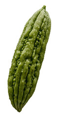 Bittergurke