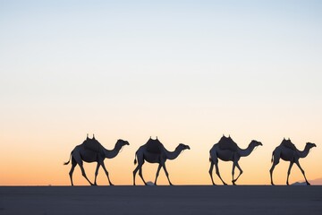 Fototapeta na wymiar camel silhouettes at twilight in the desert
