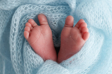 The tiny foot of a newborn baby. Soft feet of a new born in a blue wool blanket. Close up of toes,...