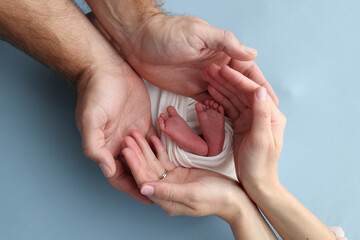 The palms of the parents, father and mother hold the legs, feet of a newborn baby in a white wrapper on a blue background. Feet, heels and toes of a newborn child close -up. Professional macro photo.