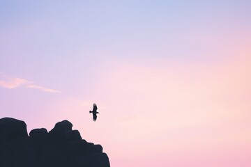silhouetted eagle on cliff at dusk, pink sky