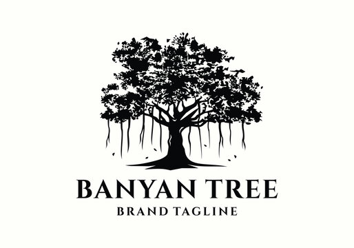 Old banyan tree logo icon vector design illustration