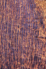 Carbonized Charm: The Intriguing Hue of Burnt Oak