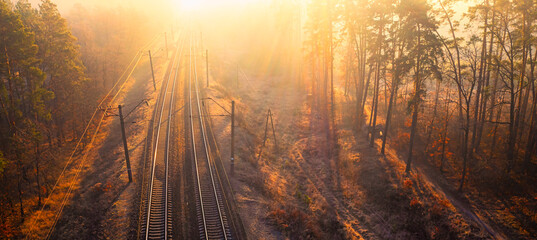 Veiled Tranquility: Dawn Unfolding on the Foggy Railway