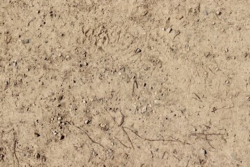 A close view of the hard dirt ground surface.