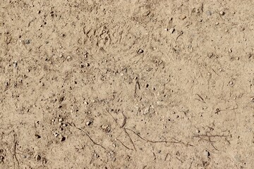 A close view of the hard dirt ground surface.