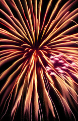 fireworks in the night sky