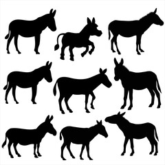Donkey. Farm animals vector set illustration