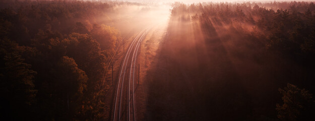 Fog-Kissed Trails: Dawn's Graceful Embrace on the Railway