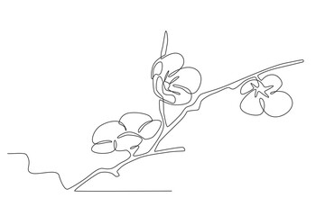 Cherry tree branches. Cherry blossom one-line drawing