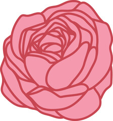 Flat Valentine Rose.