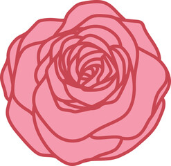 Flat Valentine Rose.