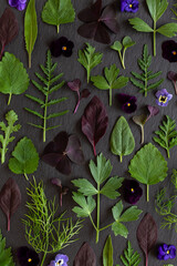 edible herbs and flowers flat-lay on black slate background