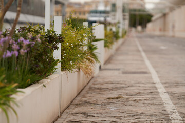 Urban sidewalk with planters filled with greenery and flowers, cityscape background, shallow depth...