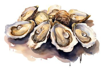 Fresh seafood raw food shell oyster background delicious