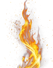 Foto op Canvas Stunning realistic fire flames PNG images on a transparent background, perfect for dynamic graphic designs and visual effects © DigitalGenetics