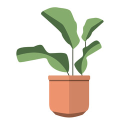 Cute indoor plant icon Vector