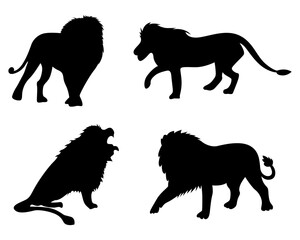 Lion silhouette set. isolated on white background vector illustration
