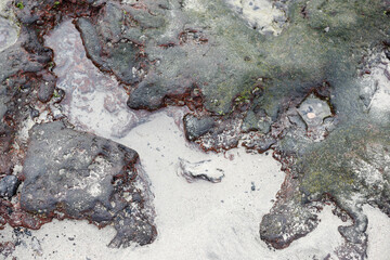 Naklejka premium Stones in the sand at the beach in Fuerteventura Costa Calma beach Canary Islands wallpaper