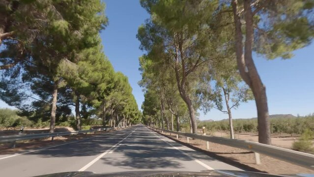 First person view, FPV, from dashcam of car driving fast on a highway towards Valencia from Tabernas desert, Almeria, Andalusia, Spain, Europe. Road trip video in POV on beautiful tree-lined road