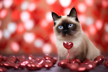 Portrait of a Cat with a Red Valentines background and Hearts 