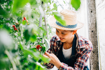 A close-up of a vegetable tomato scientist a young woman farmer inspecting tomatoes in a greenhouse using a magnifying glass. Engaged in farming research exploring growth and biology.