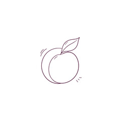 Hand Drawn illustration of apricot icon. Doodle Vector Sketch Illustration