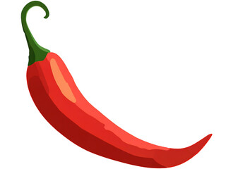 red hot chili pepper Transparent background.