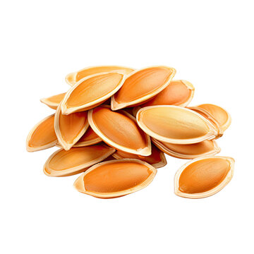 Pumpkin seeds isolated on transparent or white background