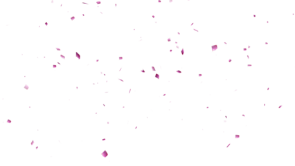 Cherry Blossom falling with transparent background  for overlays