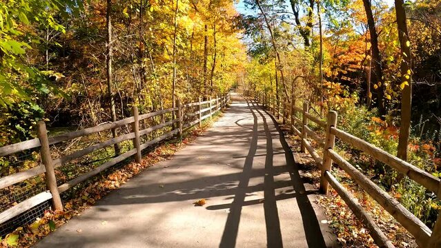 Hiking along Moore Park Ravine Trail in midtown Toronto, with golden and orange fall colors of the forest on a sunny autumn day