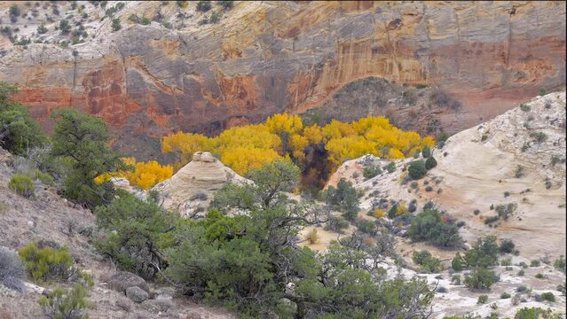 Establishing shot of brown mountains with green forest in The Hogback Scenic Root 12, Utah, North America. Day time on October 2023. ProRes 422 HQ.