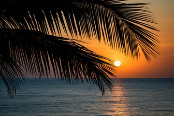 Captivating Landscape Photo Featuring Palm Leaf Silhouette