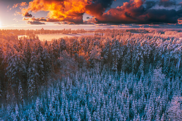 sunset over the winter  forest from above